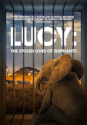 Lucy The Stolen Lives of Elephants