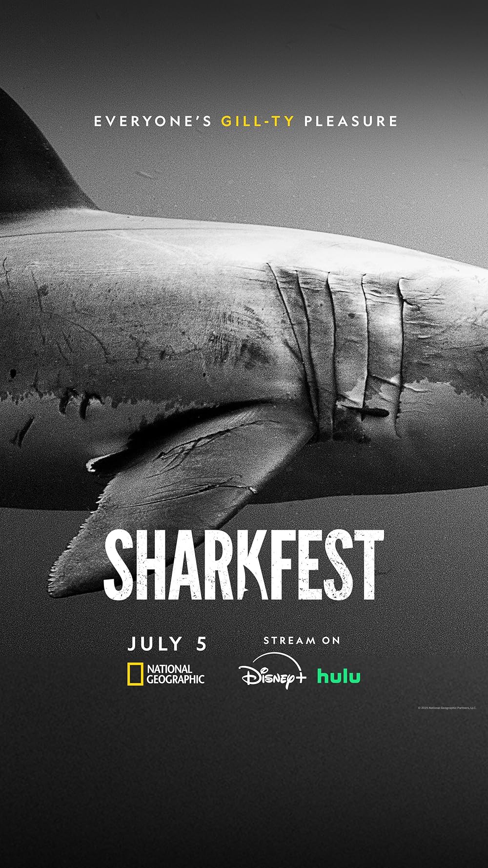 Sharks Up Close with Bertie Gregory