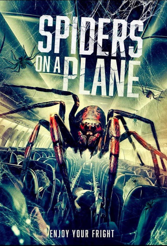 Spiders on a Plane