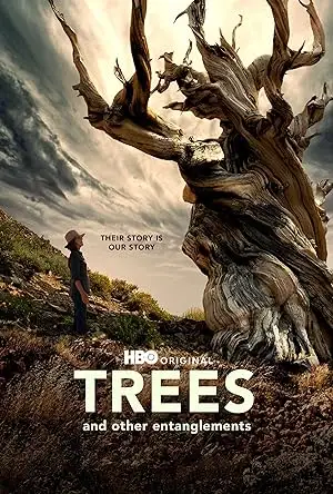 Trees and Other Entanglements